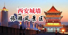 乱交20p中国陕西-西安城墙旅游风景区